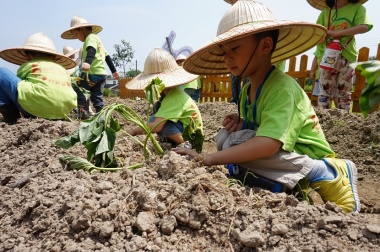 幼兒園戶外教學專案